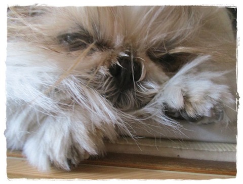 GO TOトラベルキャンペーンを利用して。