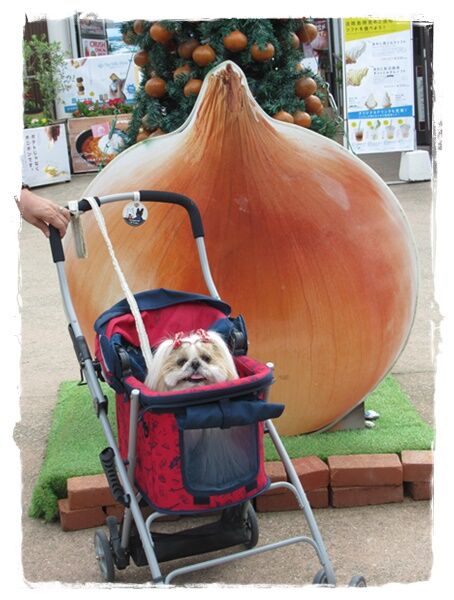 淡路島「七福神」巡り⑹