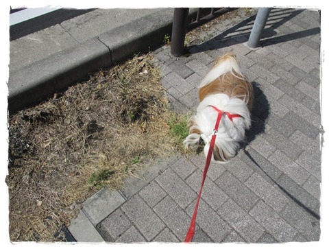 今度は…(*^^*)