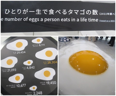 cats万博EARTHMART館