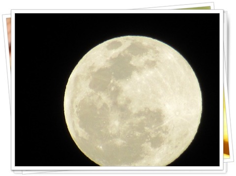 ピンクムーン。