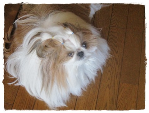 美味しくないけど…ナメナメ。