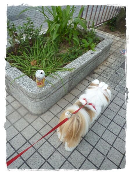 興味があっても…