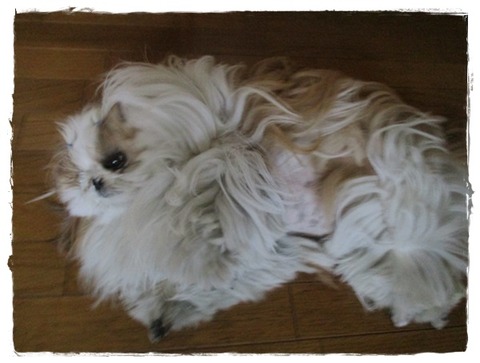 少しでも得になるのなら!