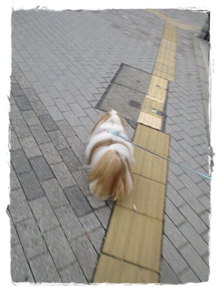 今日からのはずが💦