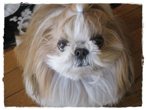 近場の温泉に。