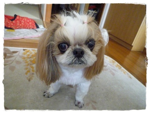 値上がりする前に。