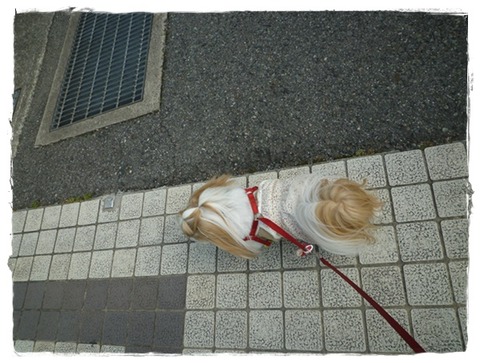 P1020132ユニ