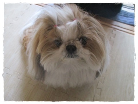 アタチの…日課。