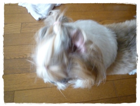 P1050045ユニ