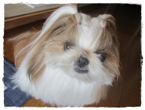 昨日、給付金が♪