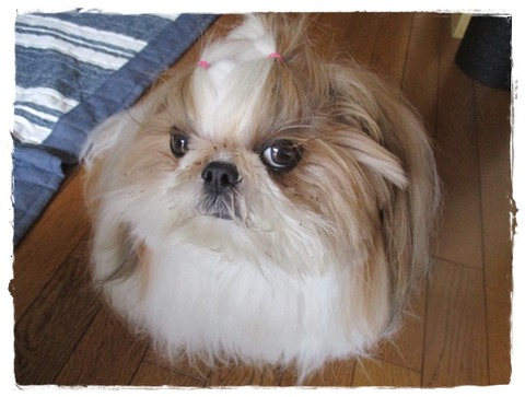 アタチだって出ましゅよ!