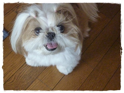 期待してたのに～😢