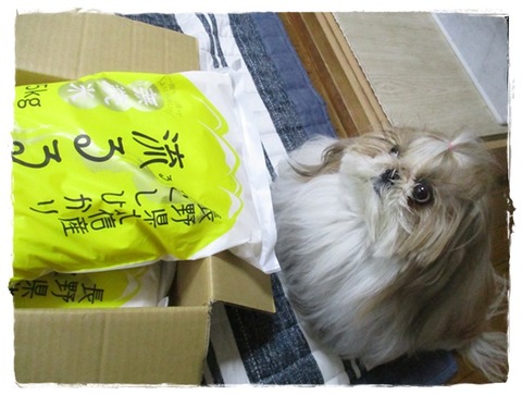 しつこいな～(;^ω^)