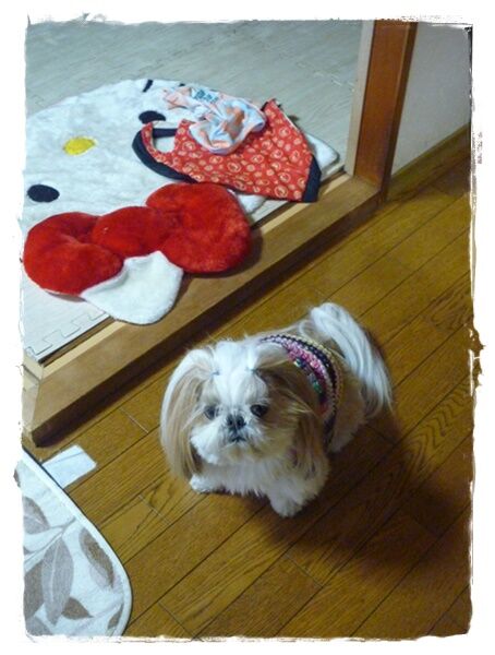 やんでくれて良かった(*^^*)