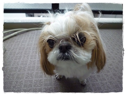 今日もかぁーー!