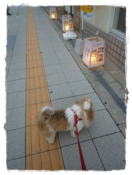 P1050173ユニ
