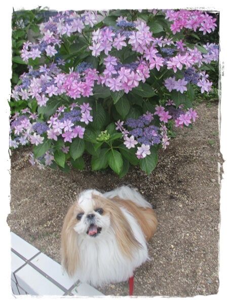 まだ使えそうなのに…