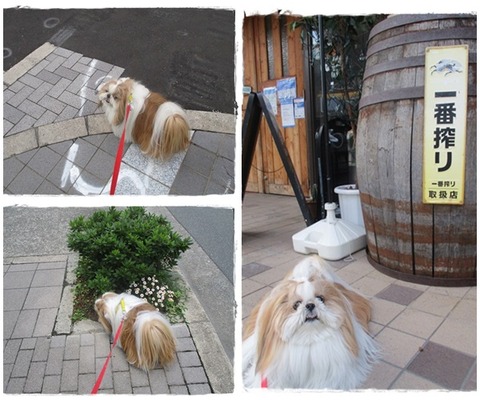 catsユニ６／２３