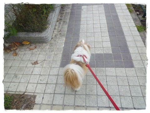 P1050245ユニ
