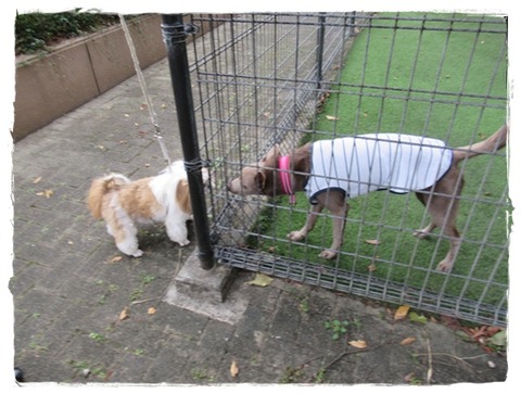 誕生日旅行おしまい。