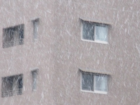 チックンも…散歩も…