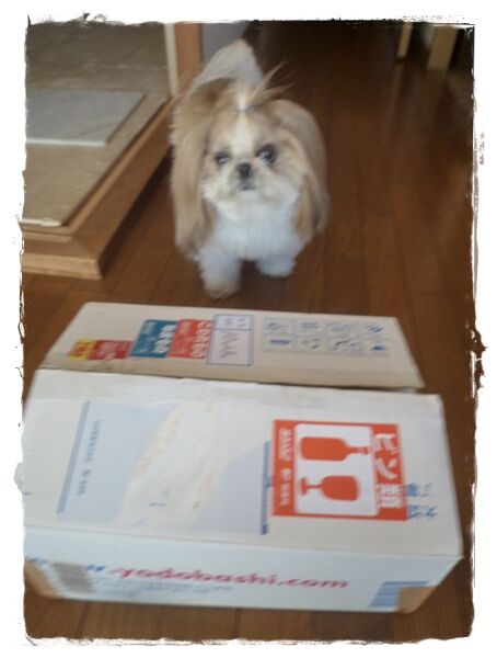 つむぎちゃんチから♪