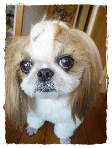 いってきまーしゅ(^^)