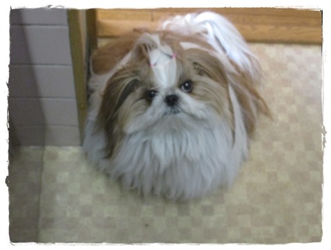 一日寝てスッキリ。