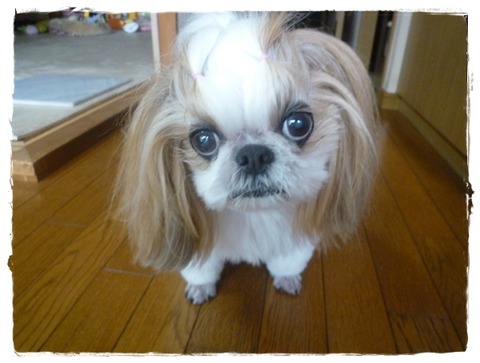 いってきましゅ～!