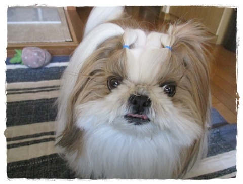 おいちかった(^^♪