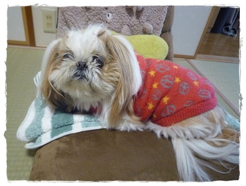 出費がつづく～!