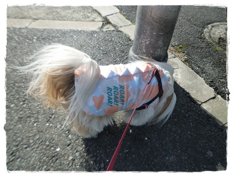 お家を出ると。