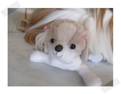 歯の詰め物がとれた～!