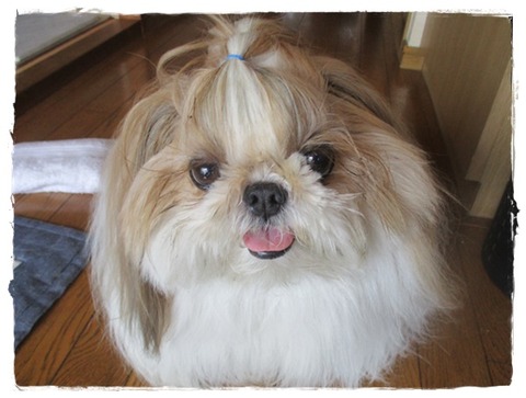 落ち着かなかった1日。