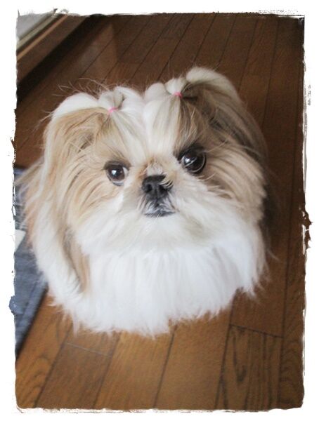 勿体ないので…