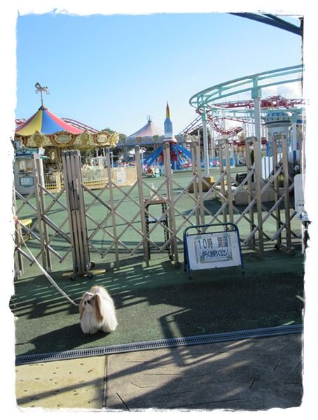 神戸フルーツフラワーパーク(２)