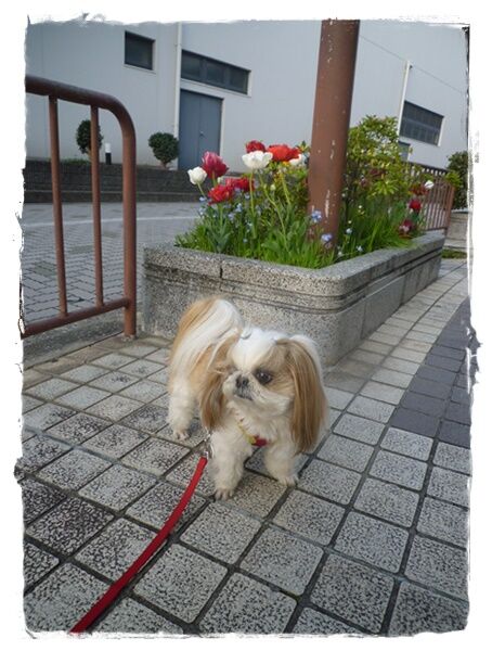 P1010833ユニ