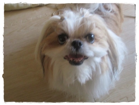 大切に思うのなら…