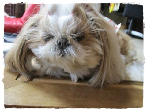 １年間ネンネしてた…