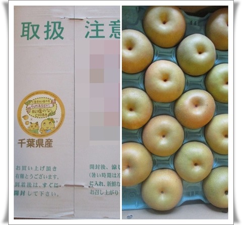 千葉の名産が届いたでしゅ♪