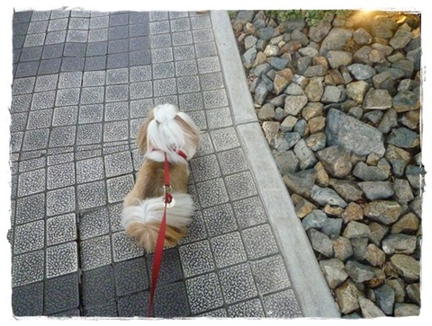 約束した通り…