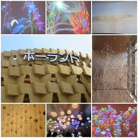 catsパビリオン６