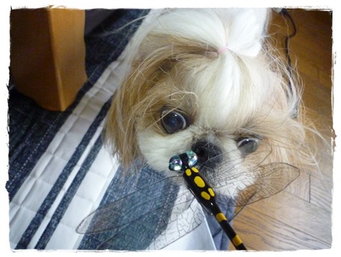 気のせいかな～?