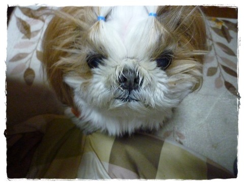 気分だけ( ´艸｀)