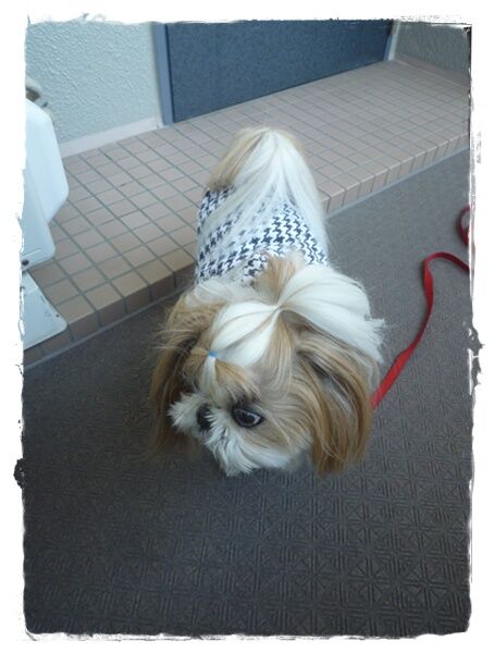 辛抱しろ( ´艸｀)