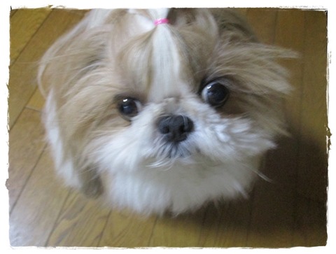 連絡なしで…突然…