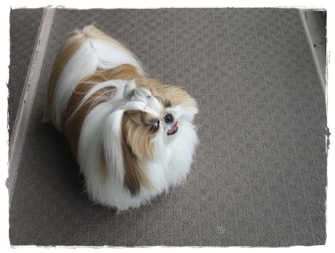 天候に振り回される。