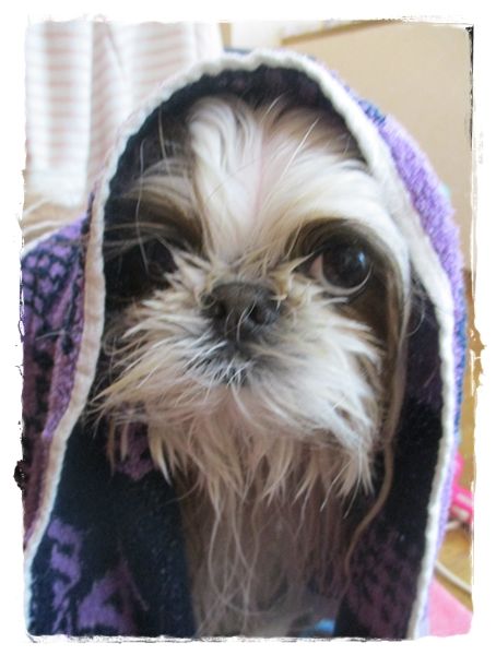 いきなりお風呂に。