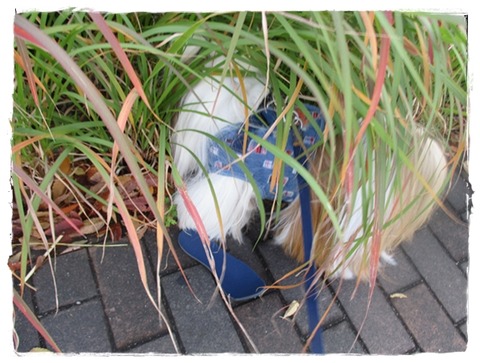 衝撃な場面に出くわした!